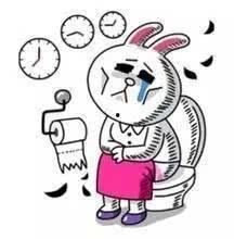 吃瓜吃太多拉肚子