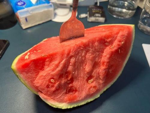 吃瓜吃太多拉肚子