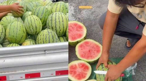 梦见一片瓜园并买瓜吃