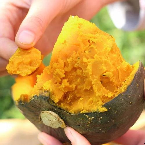 栗子吃星星瓜,一场奇幻的味蕾冒险