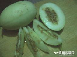 吃瓜那些趣事,那些年我们一起吃过的瓜