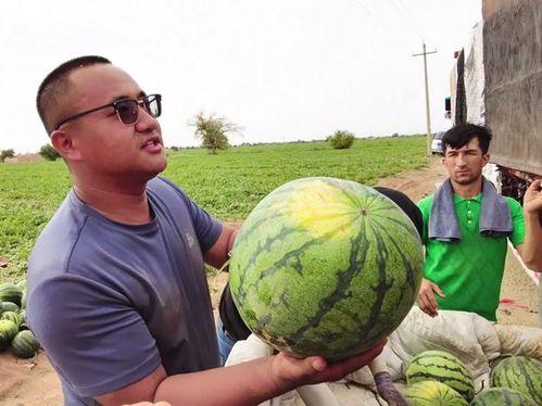空仓吃瓜,静观市场风云变幻