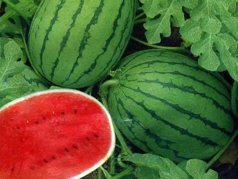 今日热门吃瓜网,揭秘娱乐圈最新热点事件