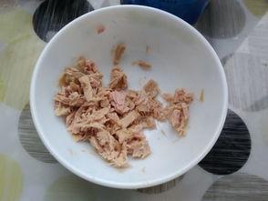 吃瓜金枪鱼,揭秘吃瓜金枪鱼的独特魅力与美食之旅