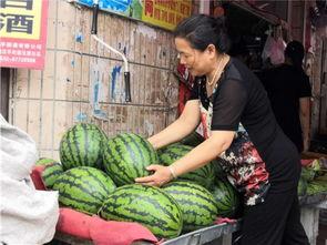 东北真瓜怎么吃,解锁美味新体验