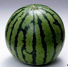 有关吃瓜的图片