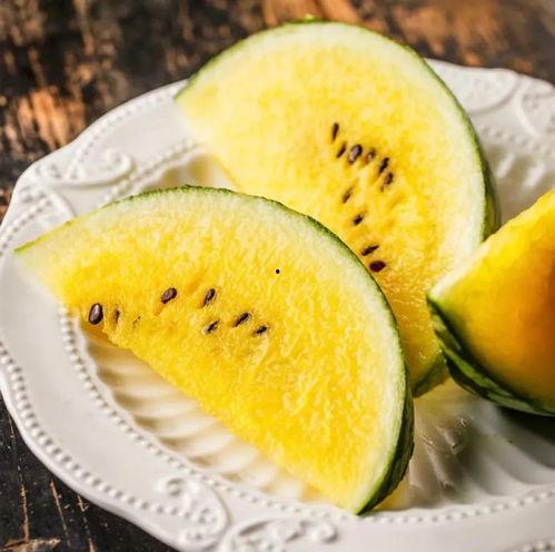 整点吃瓜,揭秘整点吃瓜的乐趣与智慧