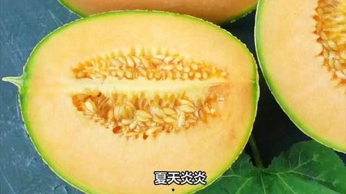 可以吃隔夜的哈密瓜吗,安全与营养的平衡