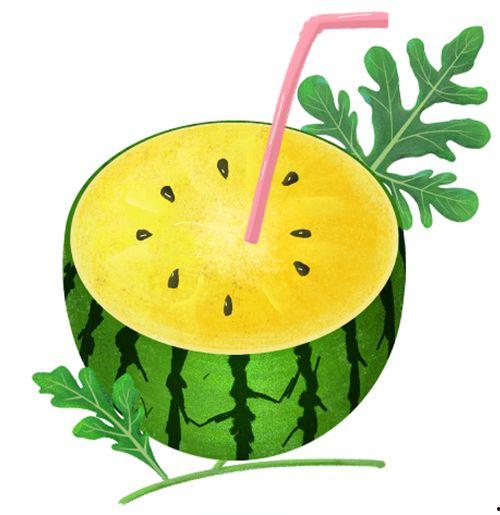 浅析人类吃瓜,社交娱乐背后的文化解读