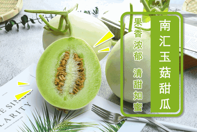 哪吒之魔瓜群众吃瓜,揭秘神秘瓜果背后的奇幻世界