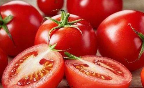 吃瓜系统小说番茄小说,吃瓜系统带你领略奇幻美食世界