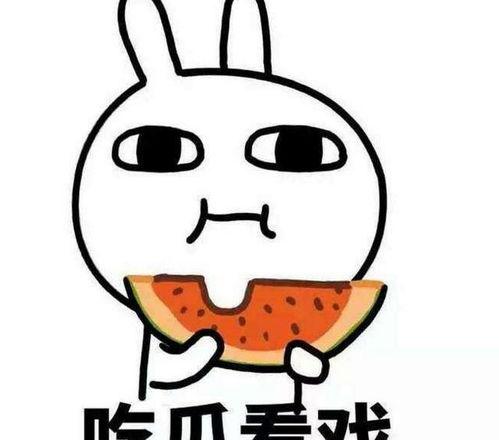 理性吃瓜全部,揭秘网络舆论背后的真相与反思