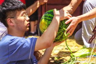 黎明大学吃瓜,揭秘校园里的那些事儿