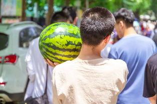 黎明大学吃瓜,揭秘校园里的那些事儿