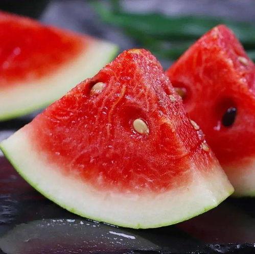 全高中吃啥瓜,揭秘校园里的那些“瓜”