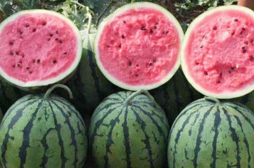 梦见死去的亲人买瓜吃瓜,亲人买瓜吃瓜的温馨瞬间