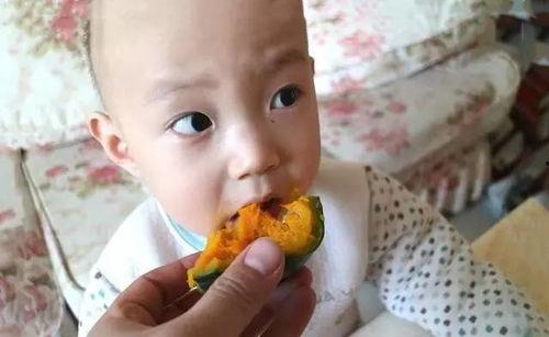 贝贝瓜天天吃行吗,健康生活每一天