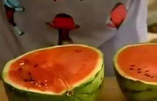 天天吃瓜真有趣,天天吃瓜，乐趣无穷